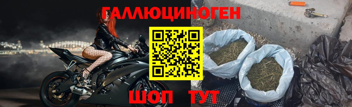 наркотики  Вход с VPN  Белово  Галлюциногенные грибы мицелий 